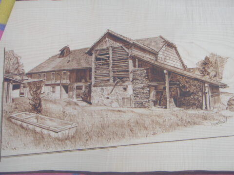 OLYMPUS DIGITAL CAMERA