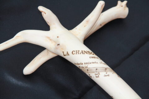 Occasion spéciale18