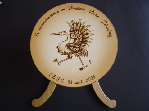 Occasion spéciale34